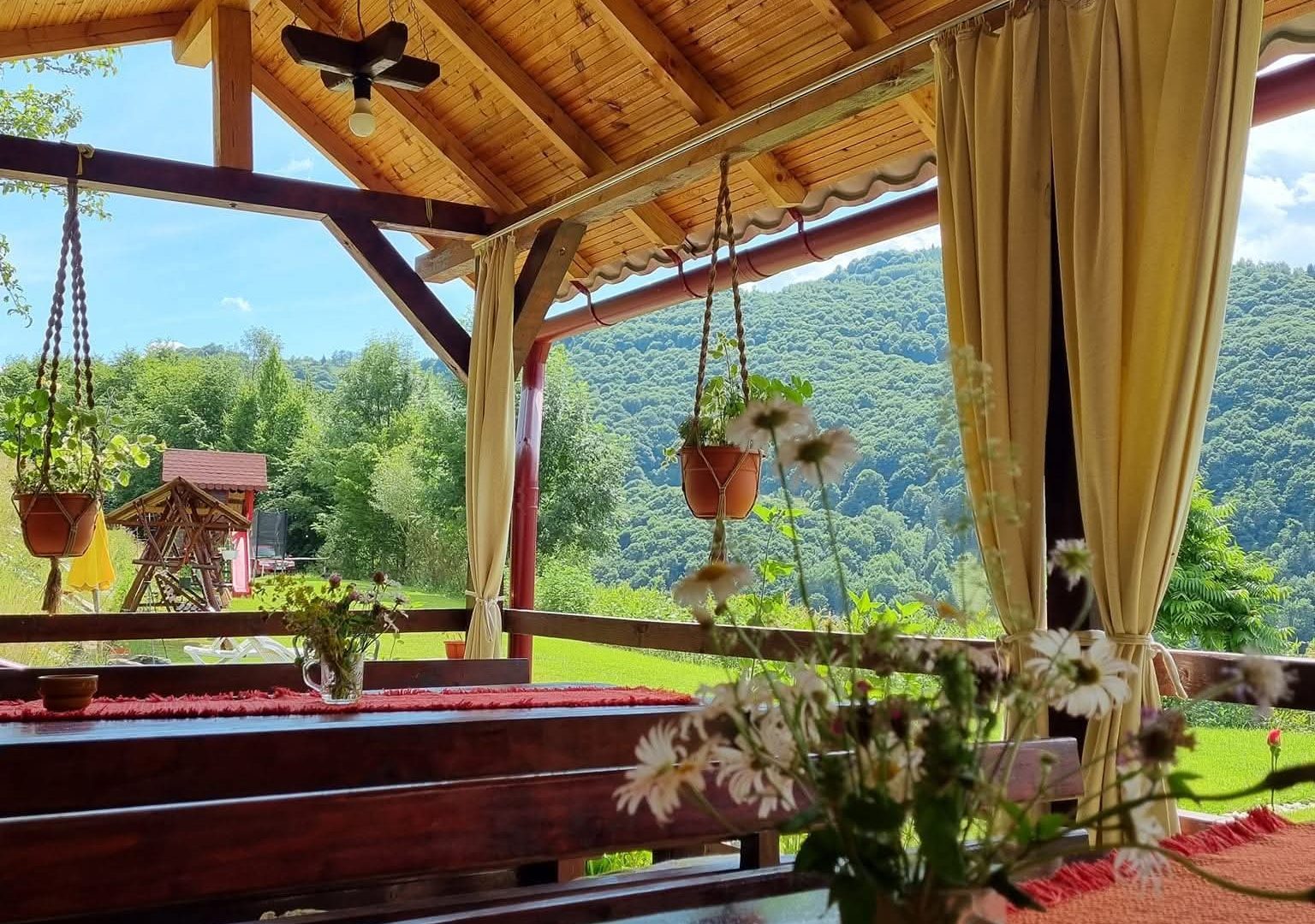 facebook_1770808011876_7427307127444598502