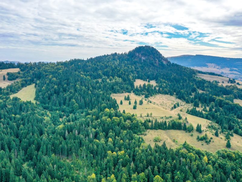 119486848_337754644307380_8481118339527901760_n