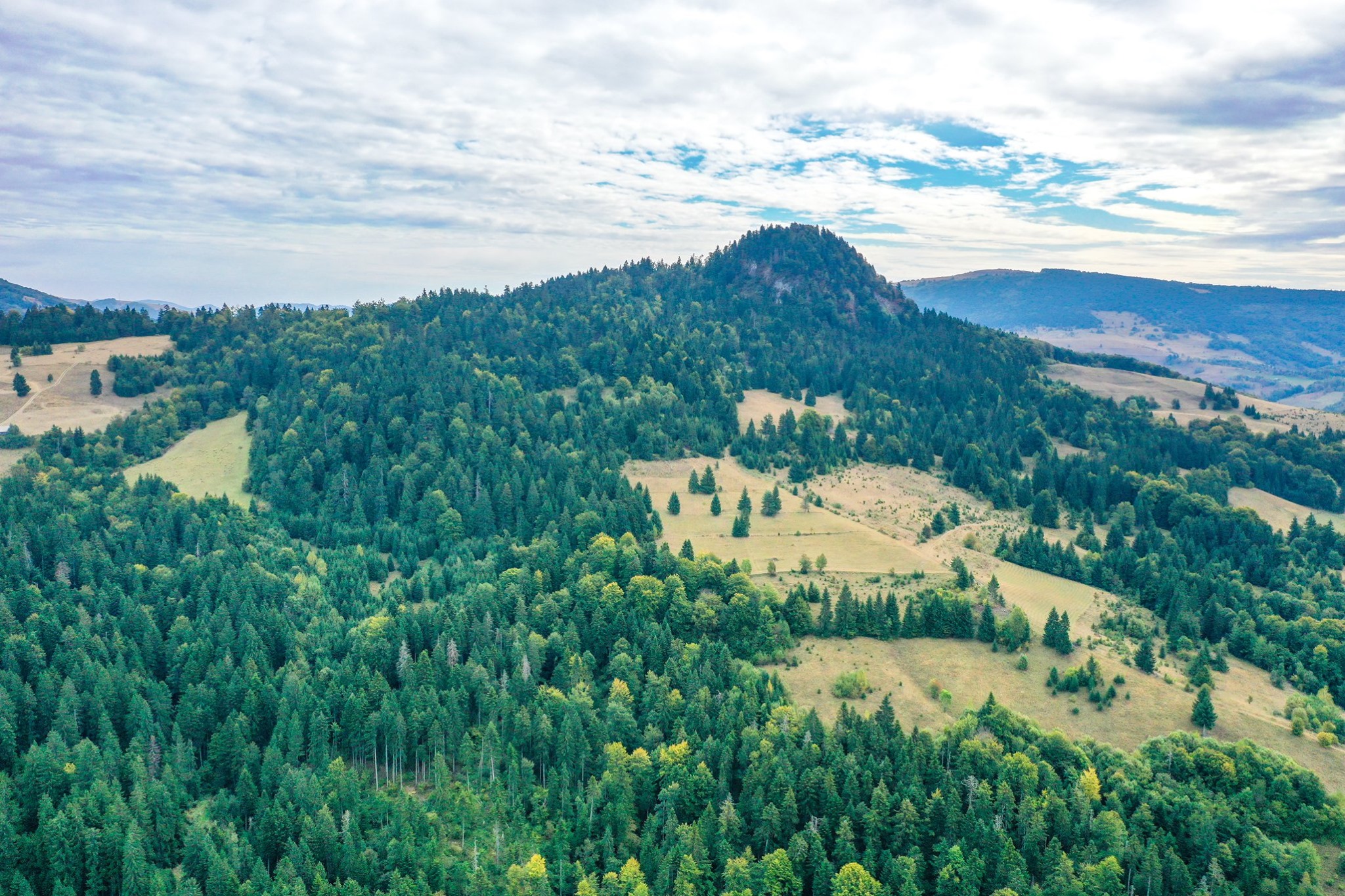 119486848_337754644307380_8481118339527901760_n