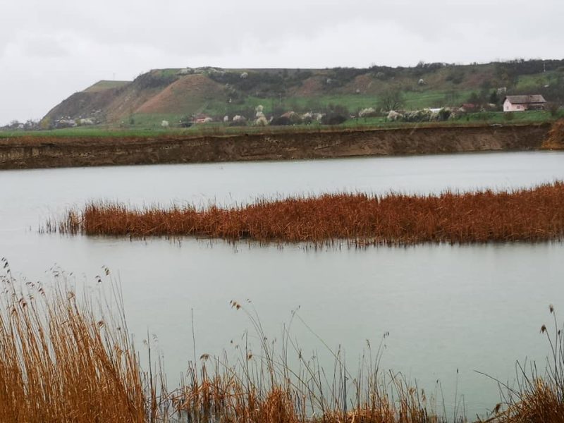 173099750_2535996423372999_1769175853927450589_n