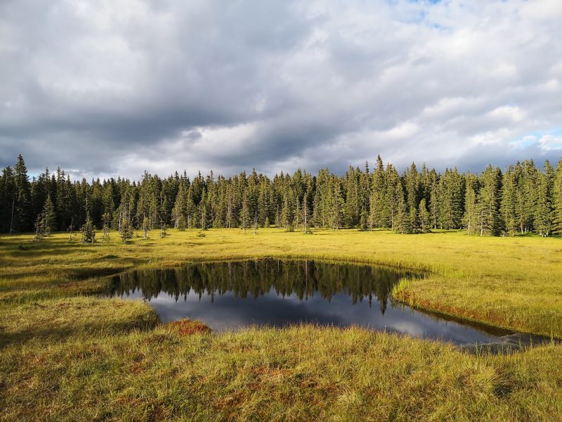 20_Molhasurile-Capatanii-muntii-Gilau-Muntele-Mare