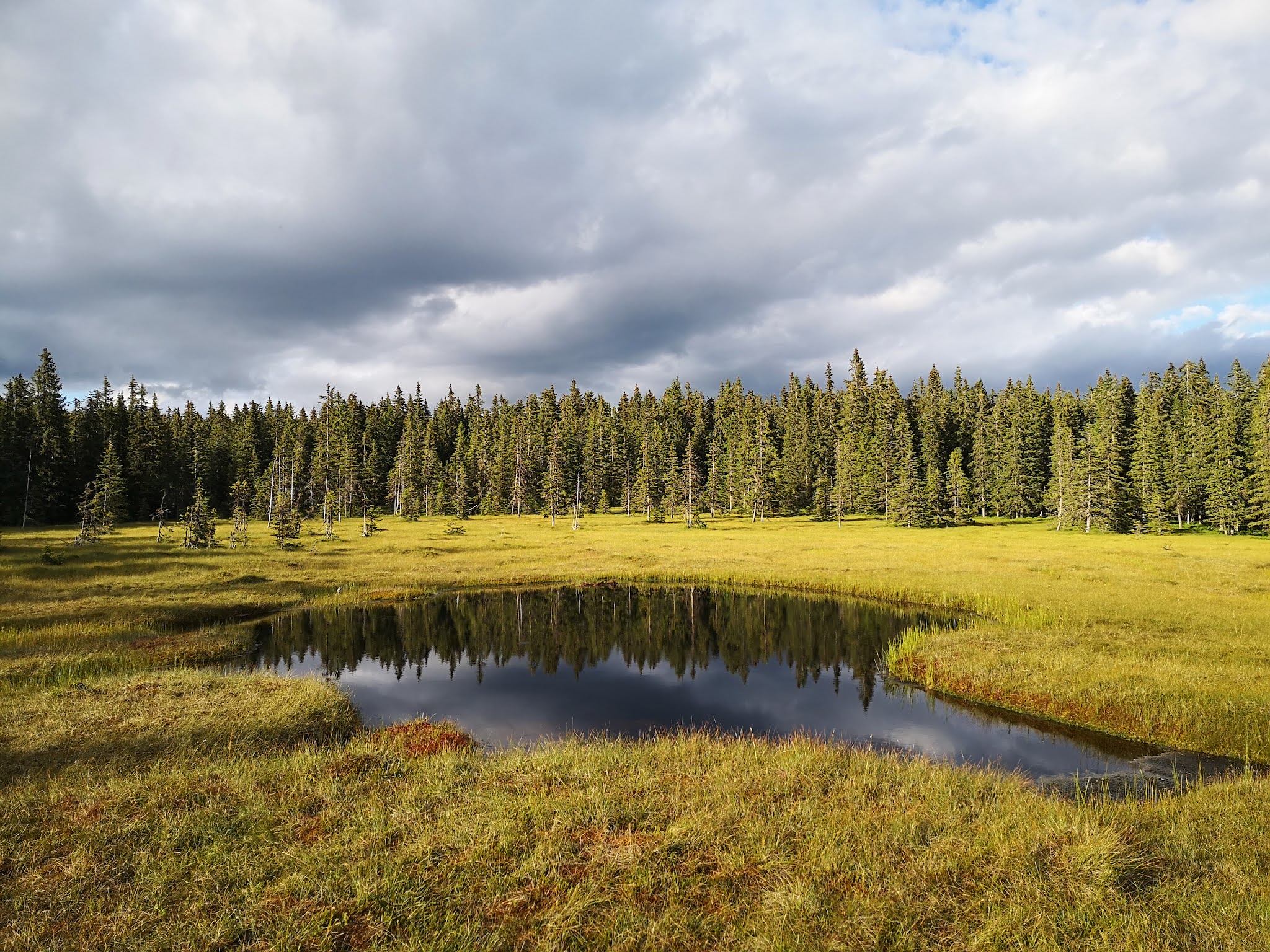 20_Molhasurile-Capatanii-muntii-Gilau-Muntele-Mare