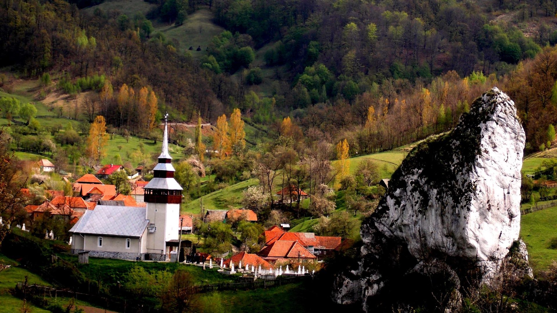 307038656_427930906111985_2771830667132555774_n