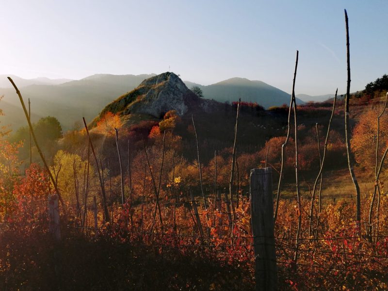 481059210_9957036804326364_4906678306745261307_n