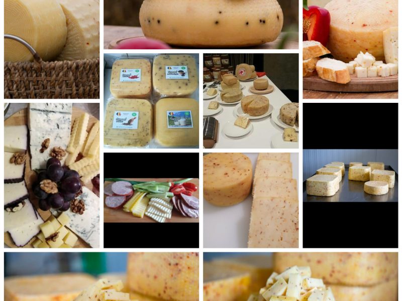 481074261_3560583860917509_2441875282689213524_n