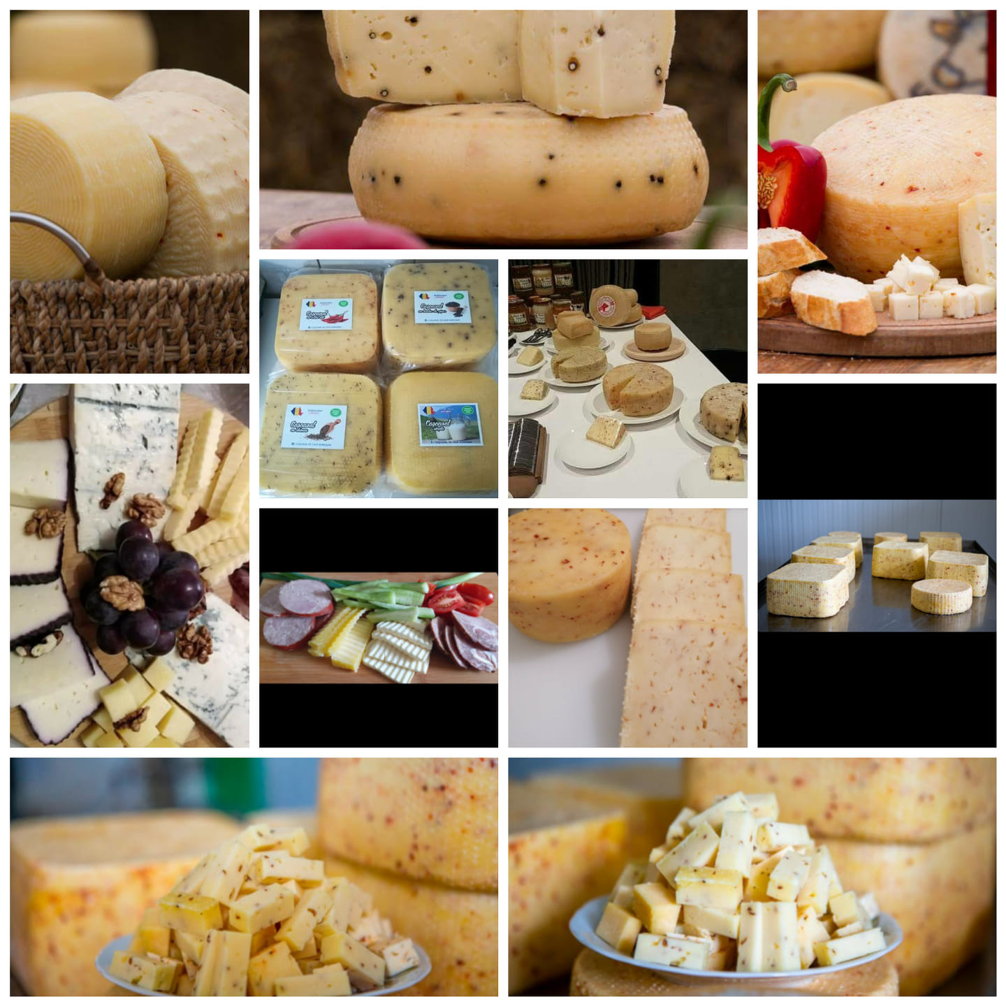 481074261_3560583860917509_2441875282689213524_n