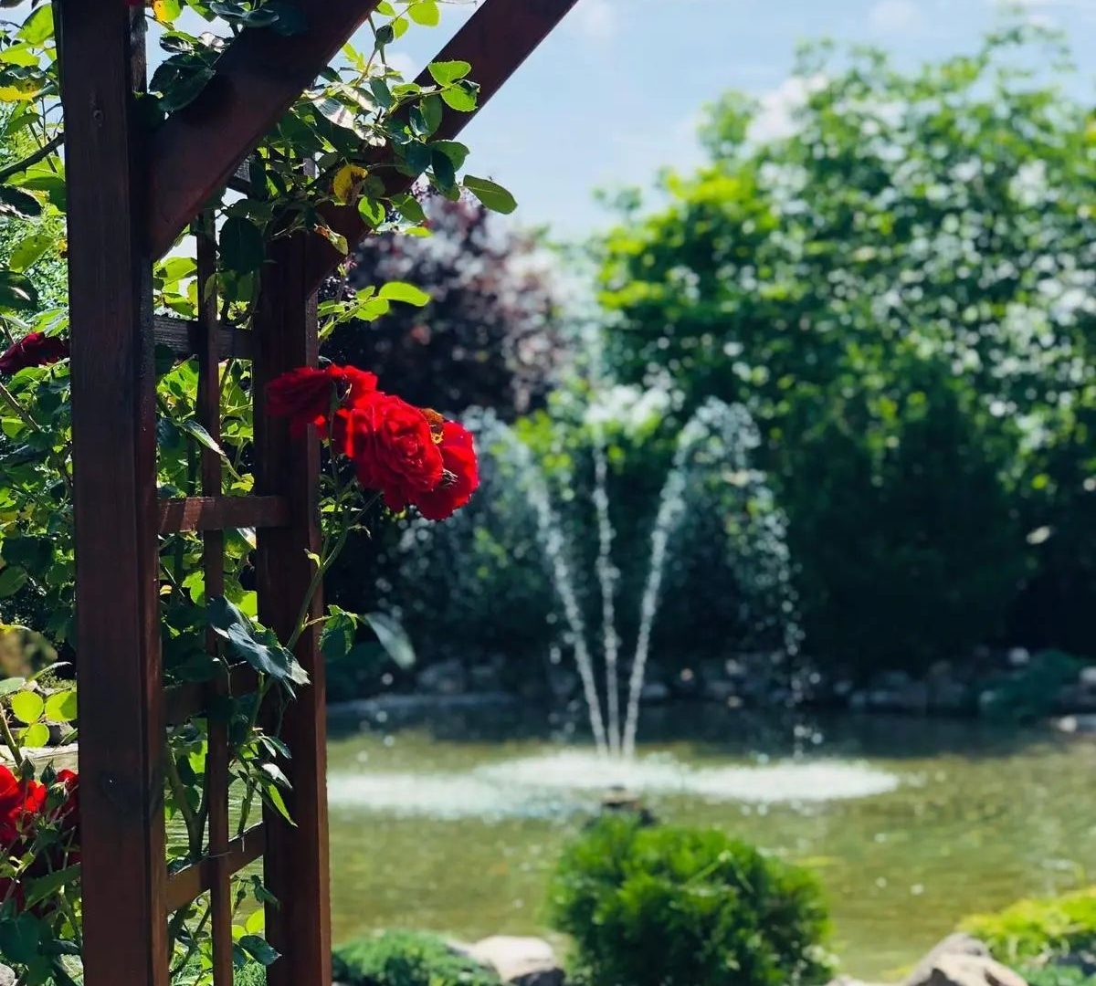 482216630_1208936247602221_6406905458619385958_n