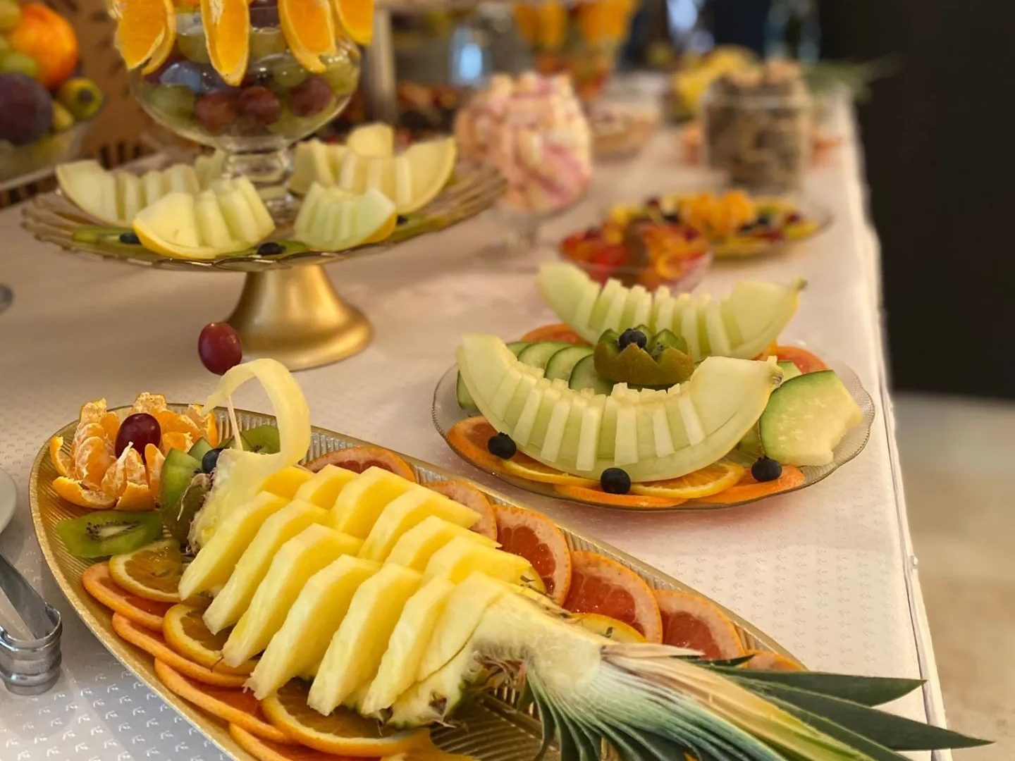 488889201_1231032895392556_3744531471721396969_n