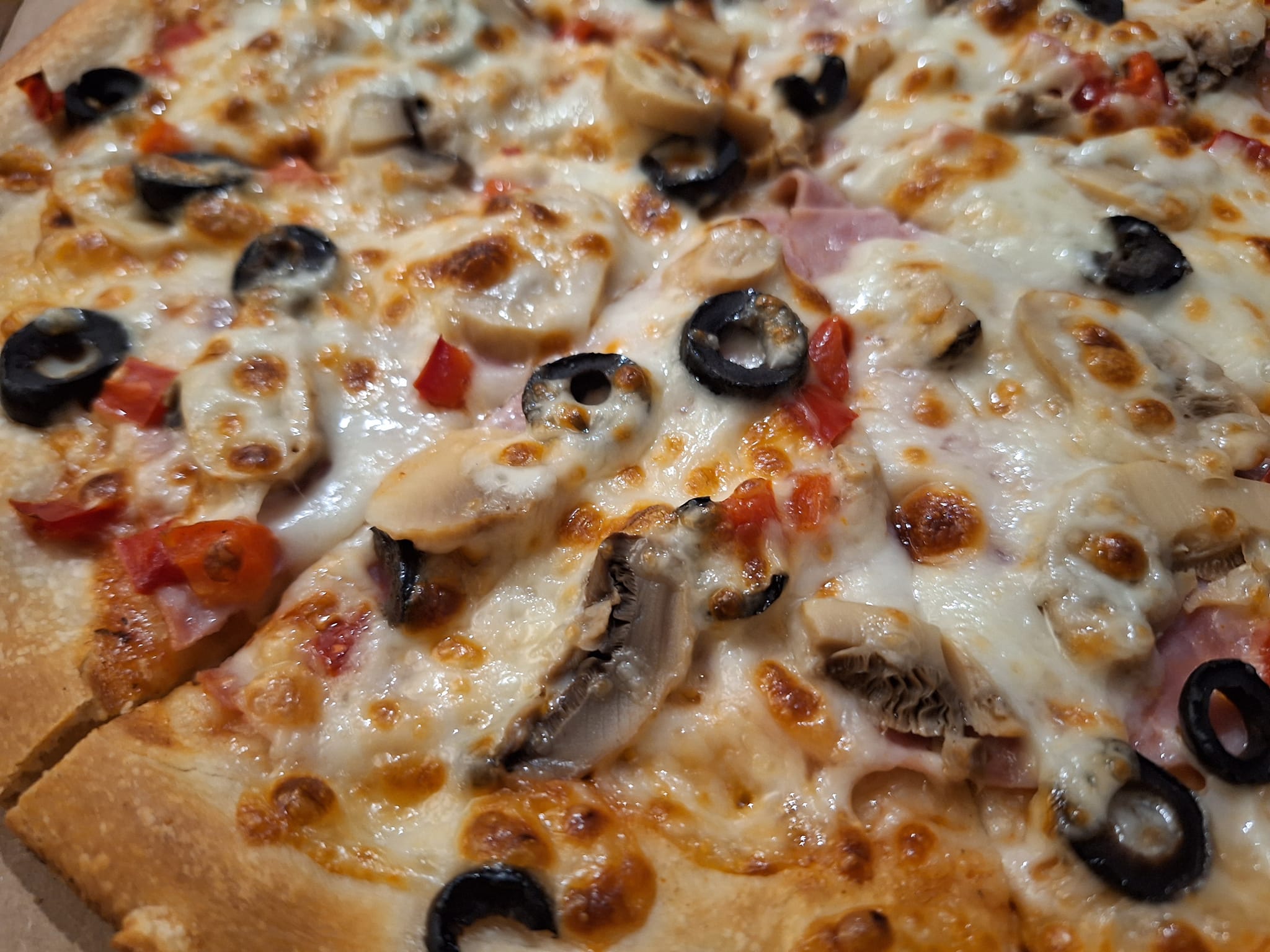 491750292_1332731001611187_8073635538717058557_n