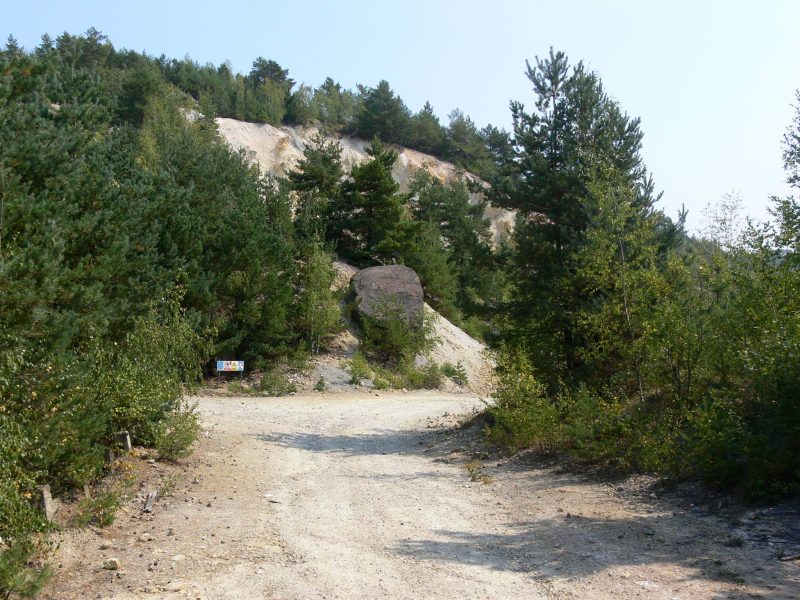 49294875_2181132032203440_6591880445435052032_n