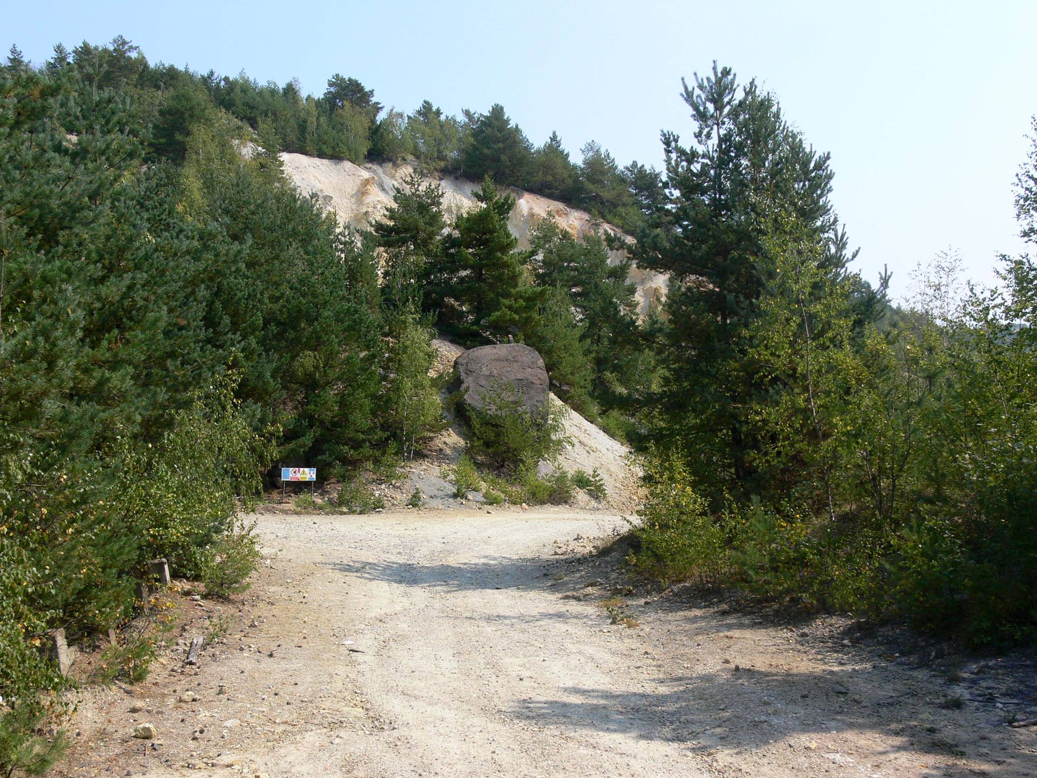 49294875_2181132032203440_6591880445435052032_n