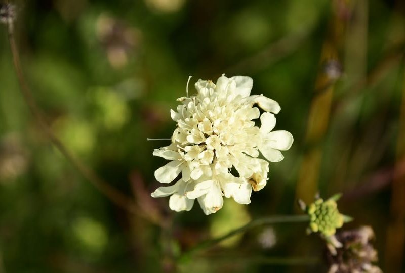 496093259_10238981959514315_9047406041787765302_n