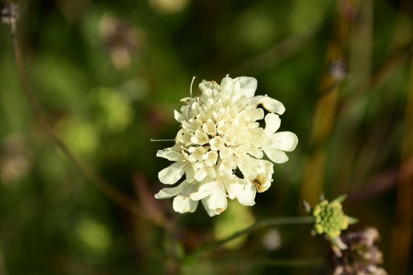 496093259_10238981959514315_9047406041787765302_n