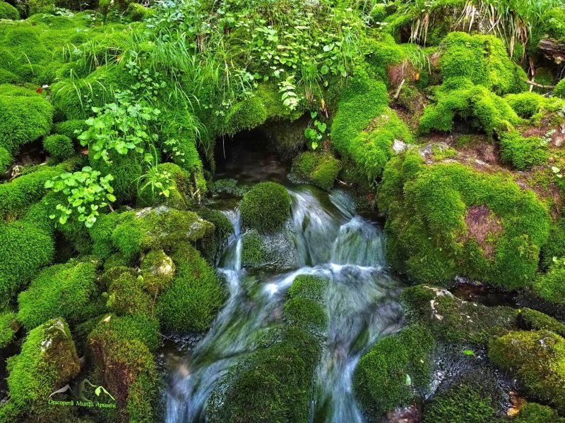 503568864_1127535159411527_5603839461331004854_n