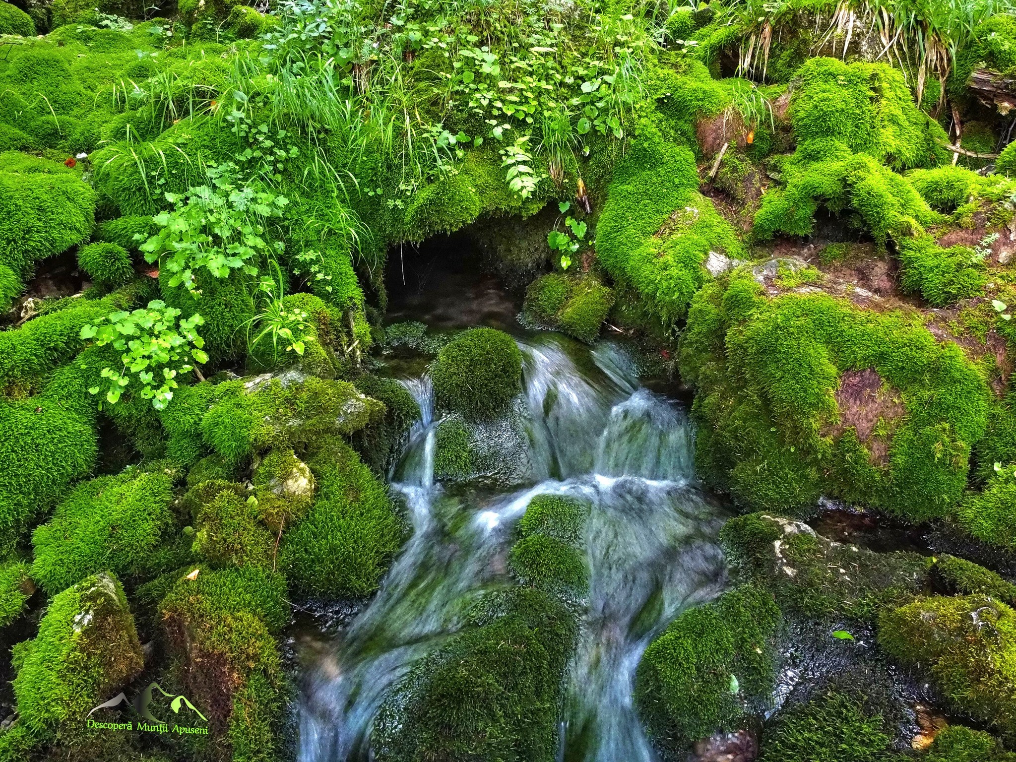 503568864_1127535159411527_5603839461331004854_n