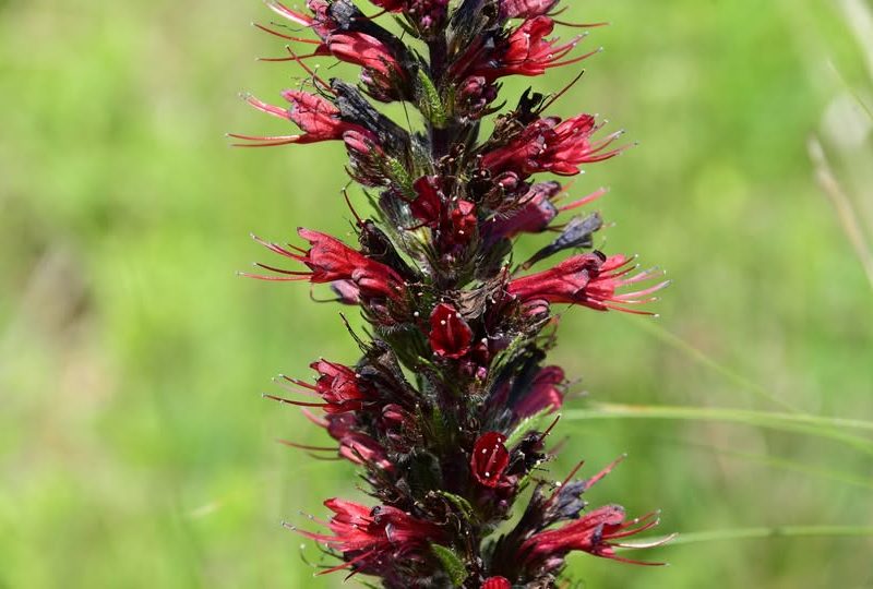 508458596_10239504076766920_1854284676553026697_n