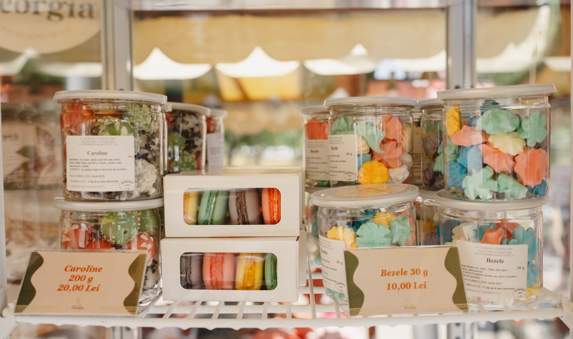 509443200_1322406569889995_4614069771618074357_n