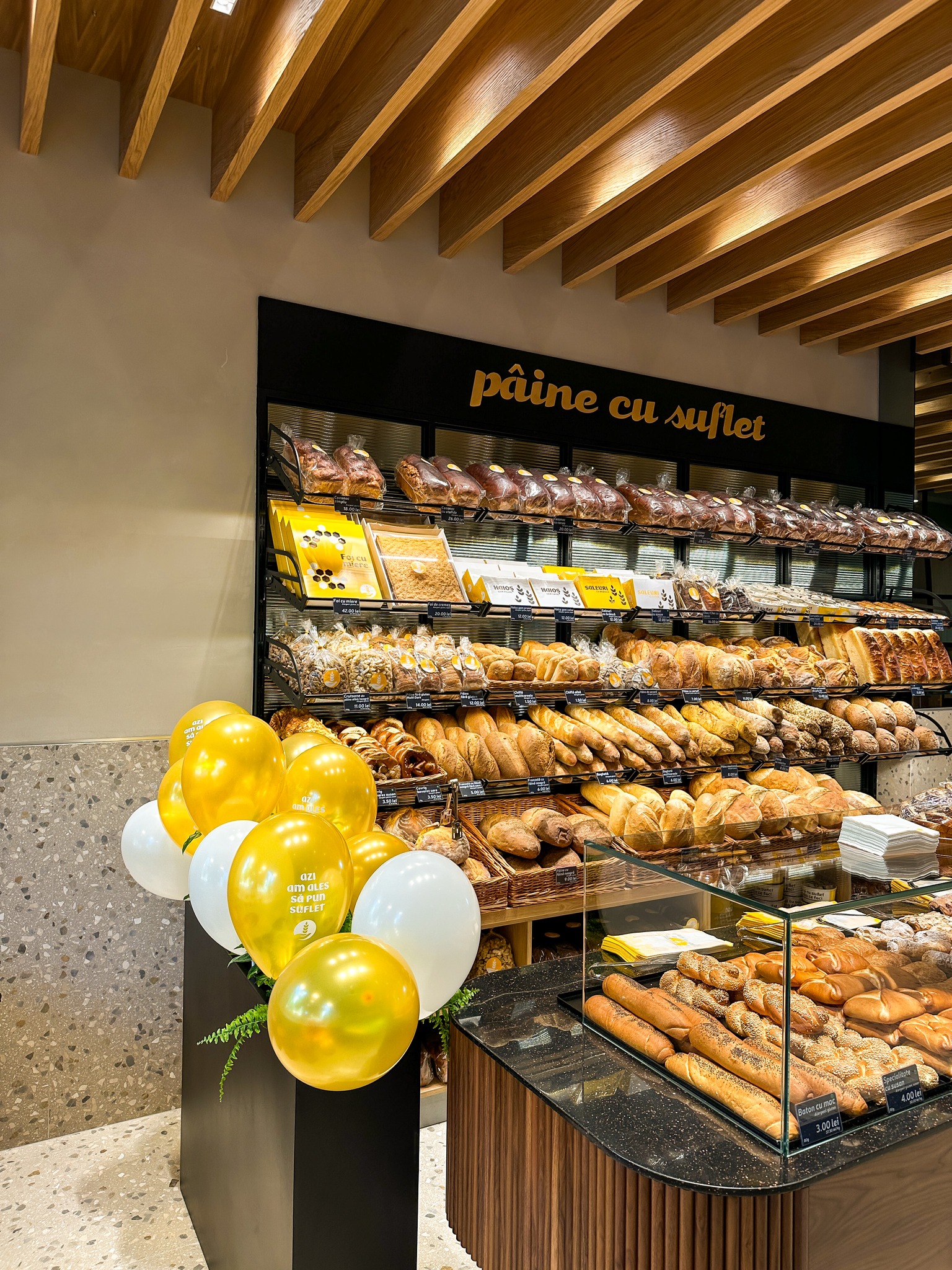 511272121_1120731656758659_8449111304246961587_n