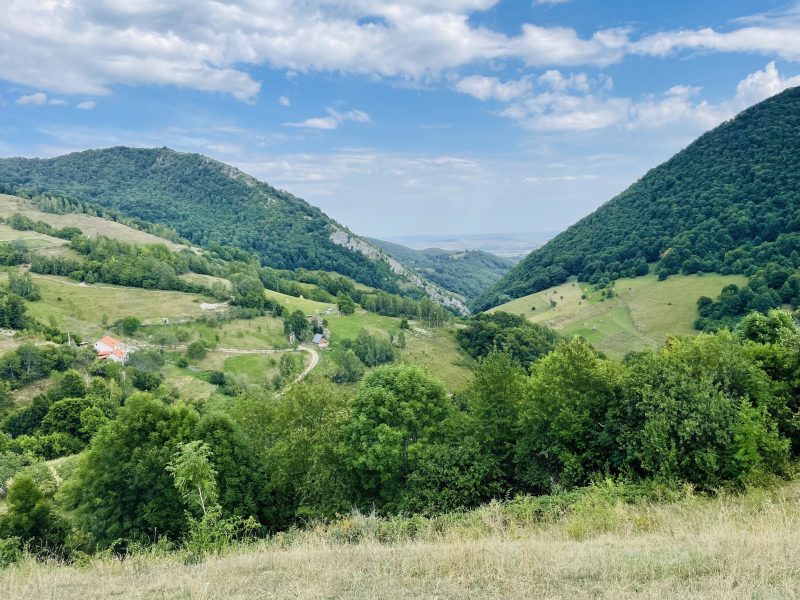 514067675_1023971819783610_4650651388045959105_n