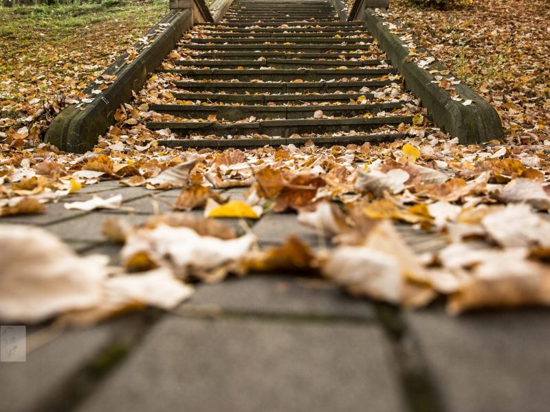 515080168_24080323811561725_701421979312940389_n