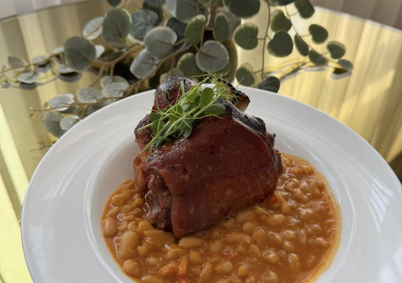 530895755_1073239128319624_2667343311133658433_n