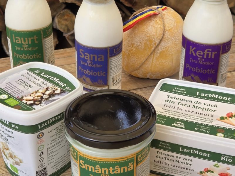 541426589_768768039478399_6684435732660922713_n