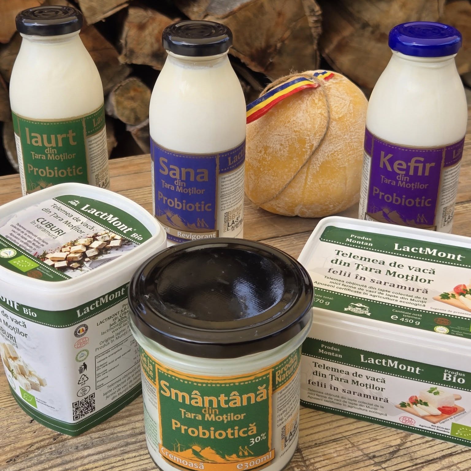 541426589_768768039478399_6684435732660922713_n