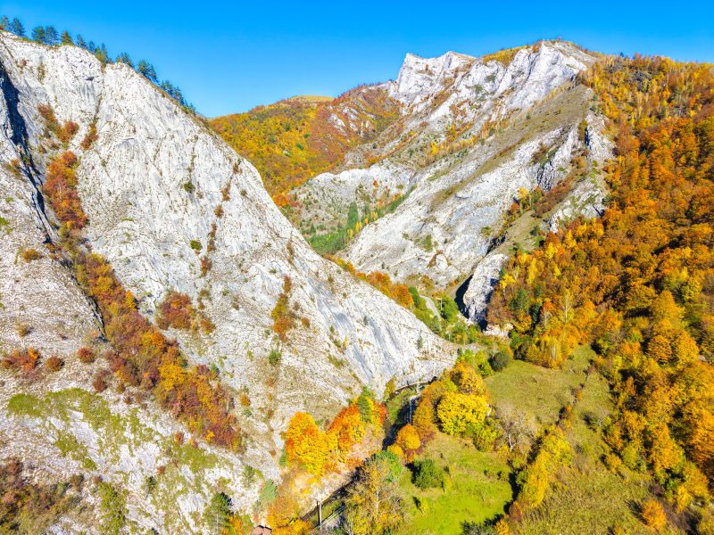 572003767_805741208878656_4651373226517262946_n