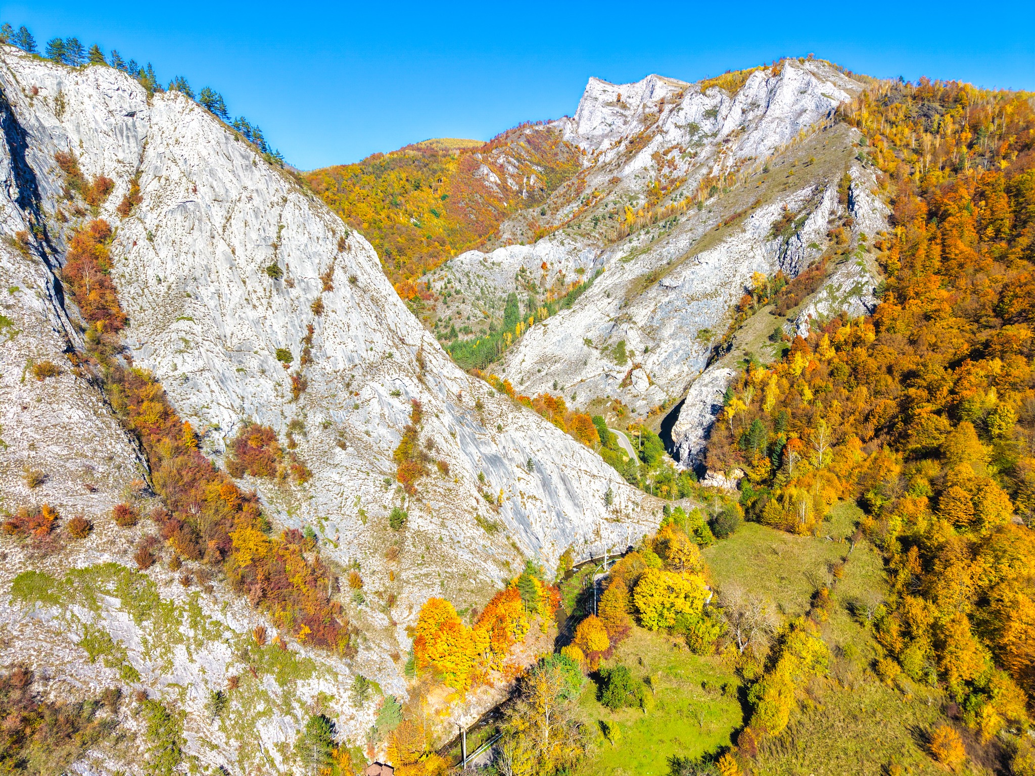 572003767_805741208878656_4651373226517262946_n