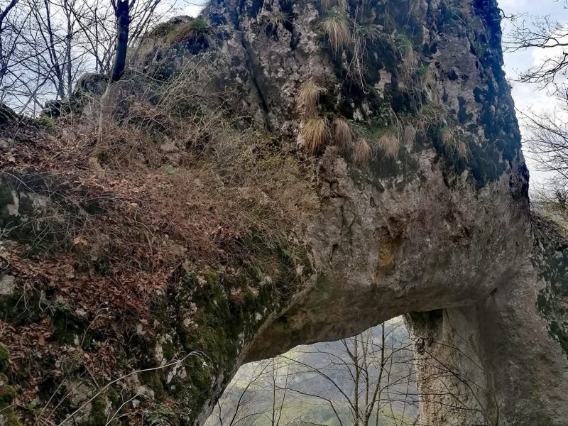 593977060_122094726219158274_4398385691731700728_n