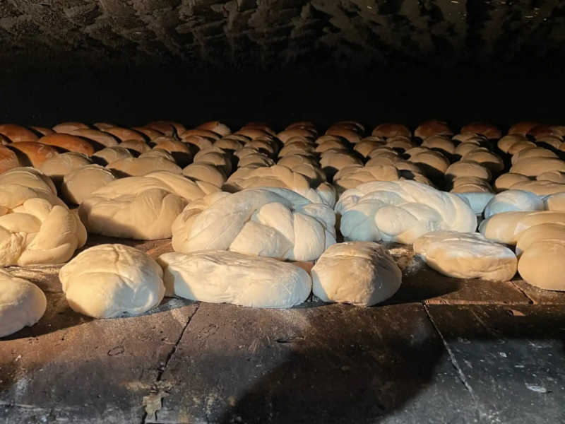 Captura-de-ecran-2026-03-12-141922