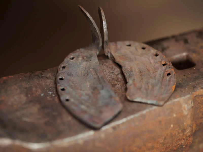 Captura-de-ecran-2026-03-13-105549