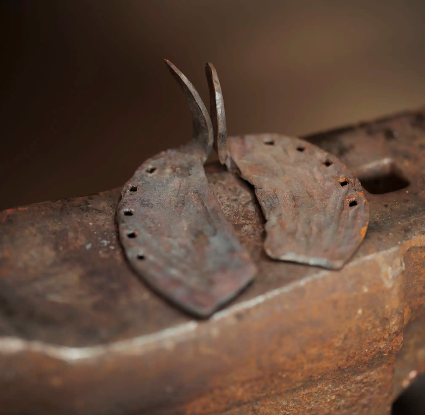 Captura-de-ecran-2026-03-13-105549