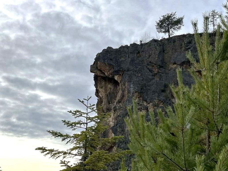 ce9400cf-a67a-4080-9860-948e0597b60d