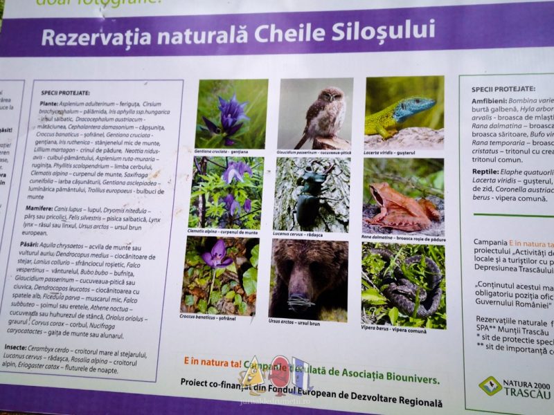 cheile-silosului-TG3