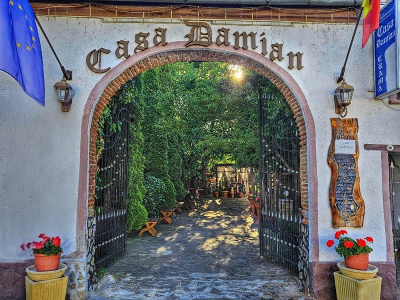 490803430_1245247534273586_3244491283710196088_n