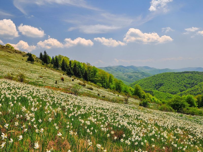 491416895_122115241262805736_5925828659129369249_n