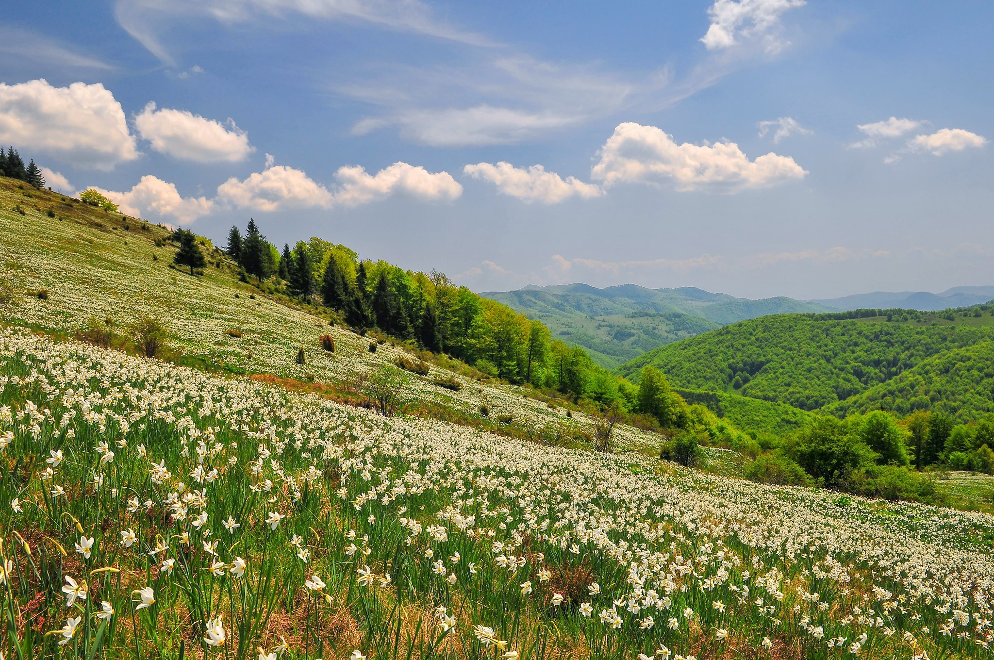 491416895_122115241262805736_5925828659129369249_n