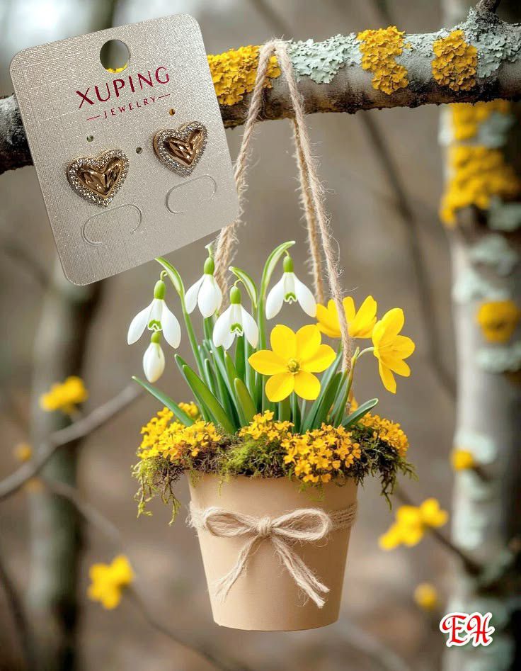 641610585_1477223967370501_2047005952851812575_n