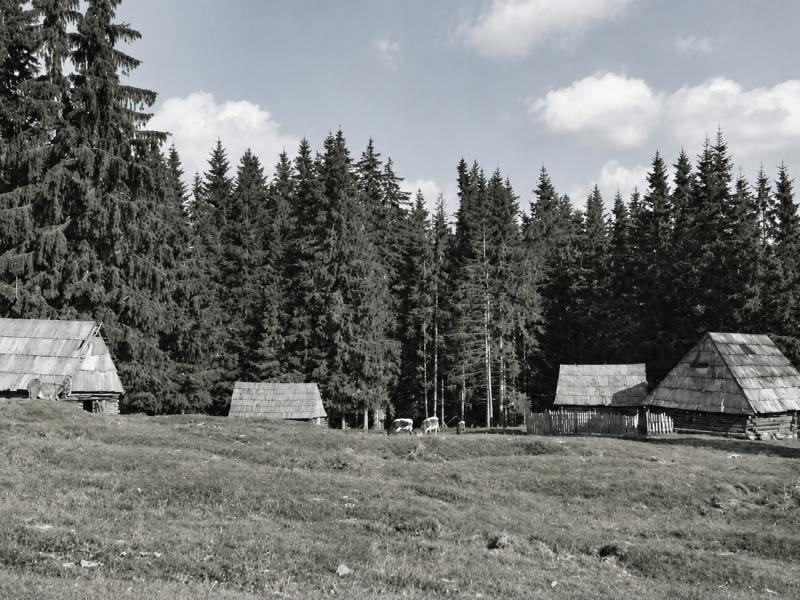 Poiana-montana-cu-cabane-rustice